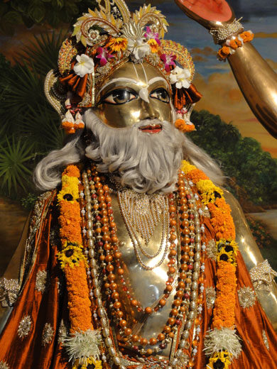 The deity of Sri Advaita Acharya, shown with his white beard and raised arm, worshipped at Mayapur in Nadia district, West Bengal.