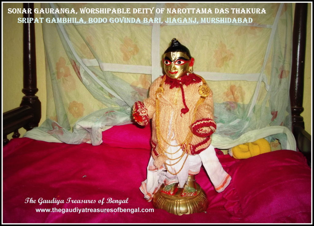 The golden Gauranga deity (sonar Gauranga), worshiped by Narottama Dasa Thakura and carried by him to Gambhila for his final days, now kept at Bodo Govinda Bari.