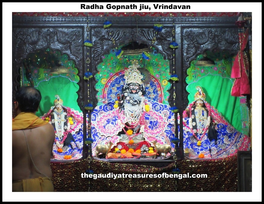 The present-day pratibhu Radha-Gopinath Deities worshiped at the Vrindavana temple, with a priest offering darshan, continuing the seva tradition Madhu Pandit Goswami began.