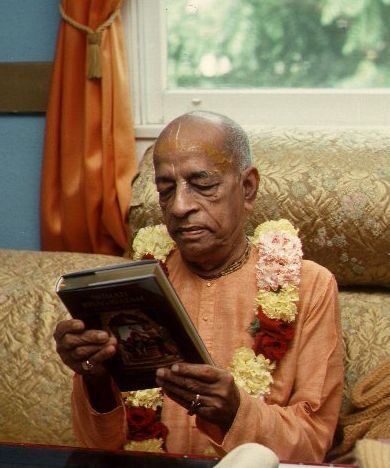 Srila Prabhupada quietly reading a book, seated on a sofa by a window.