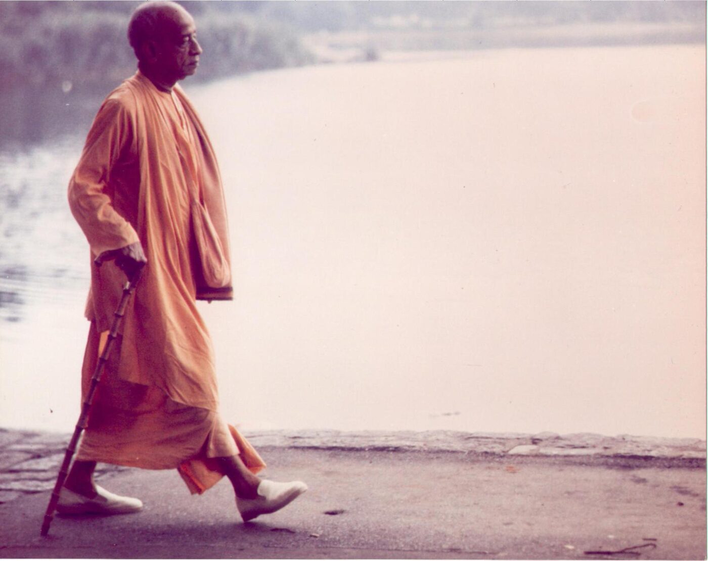 An elderly Srila Prabhupada walking alone with a cane along a riverside path, in the last years of his life.