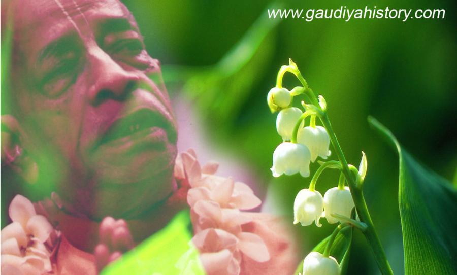 Srila Prabhupada in a garland, whose purports to this chapter of Chaitanya-charitamrita explain why Ramananda Raya's words to Pradyumna Mishra could not be treated as an ordinary man's opinions.