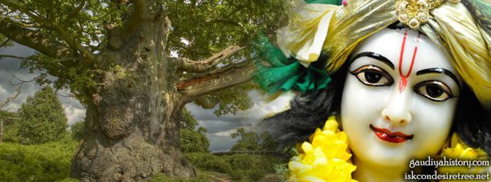 Devotional banner image (an old tree beside Sri Gaura Chandra's face) used atop Gaudiya History's own Sulochana biography page; the page itself credits the underlying photo to ISKCON Chowpatty, Mumbai.