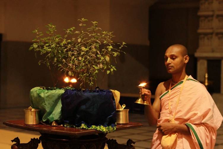Worshiping Tulasi Maharani
