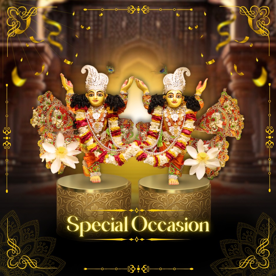 Special Occasion