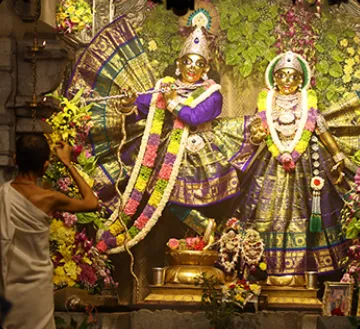 Janmashtami celebration at Nandgram Dham, photograph 4